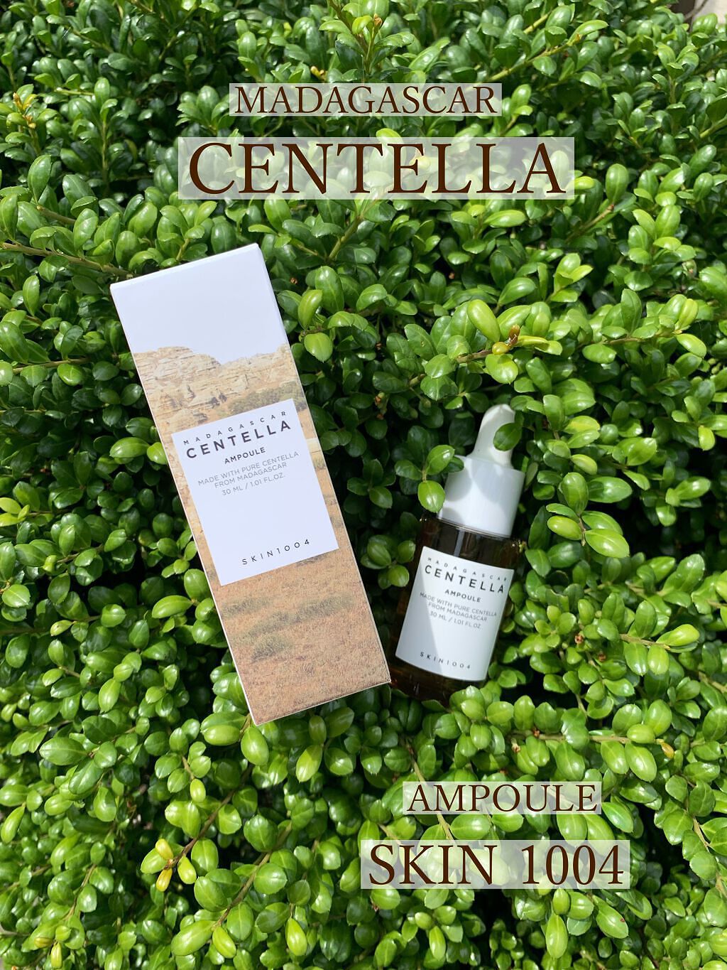 センテラ アンプル/SKIN1004/美容液を使ったクチコミ（1枚目）