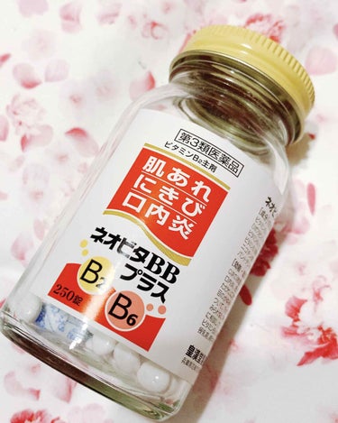 ネオビタBBプラス クニヒロ(医薬品)/皇漢堂製薬/その他を使ったクチコミ（1枚目）