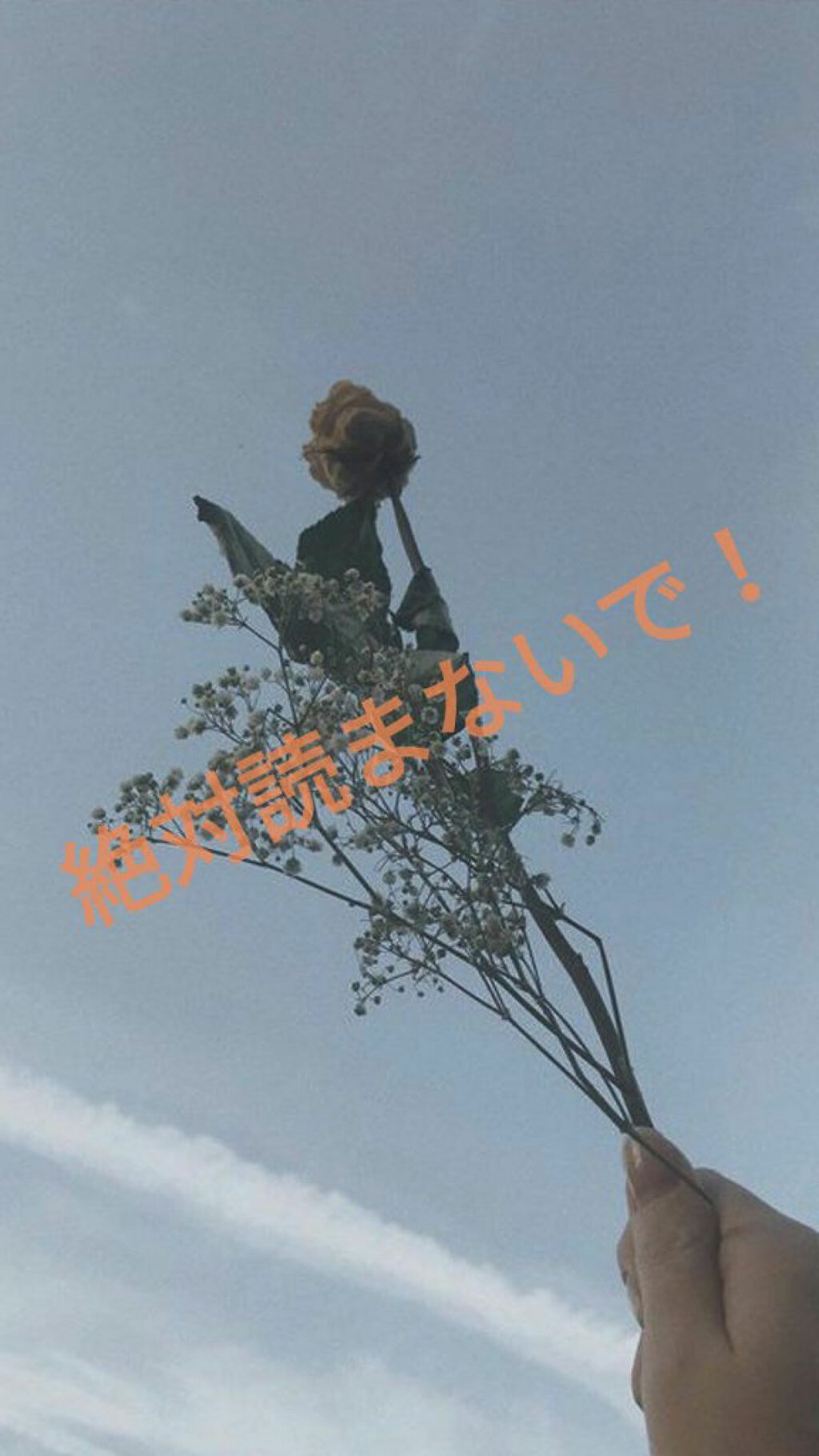 調製豆乳/キッコーマン飲料/豆乳飲料を使ったクチコミ（1枚目）