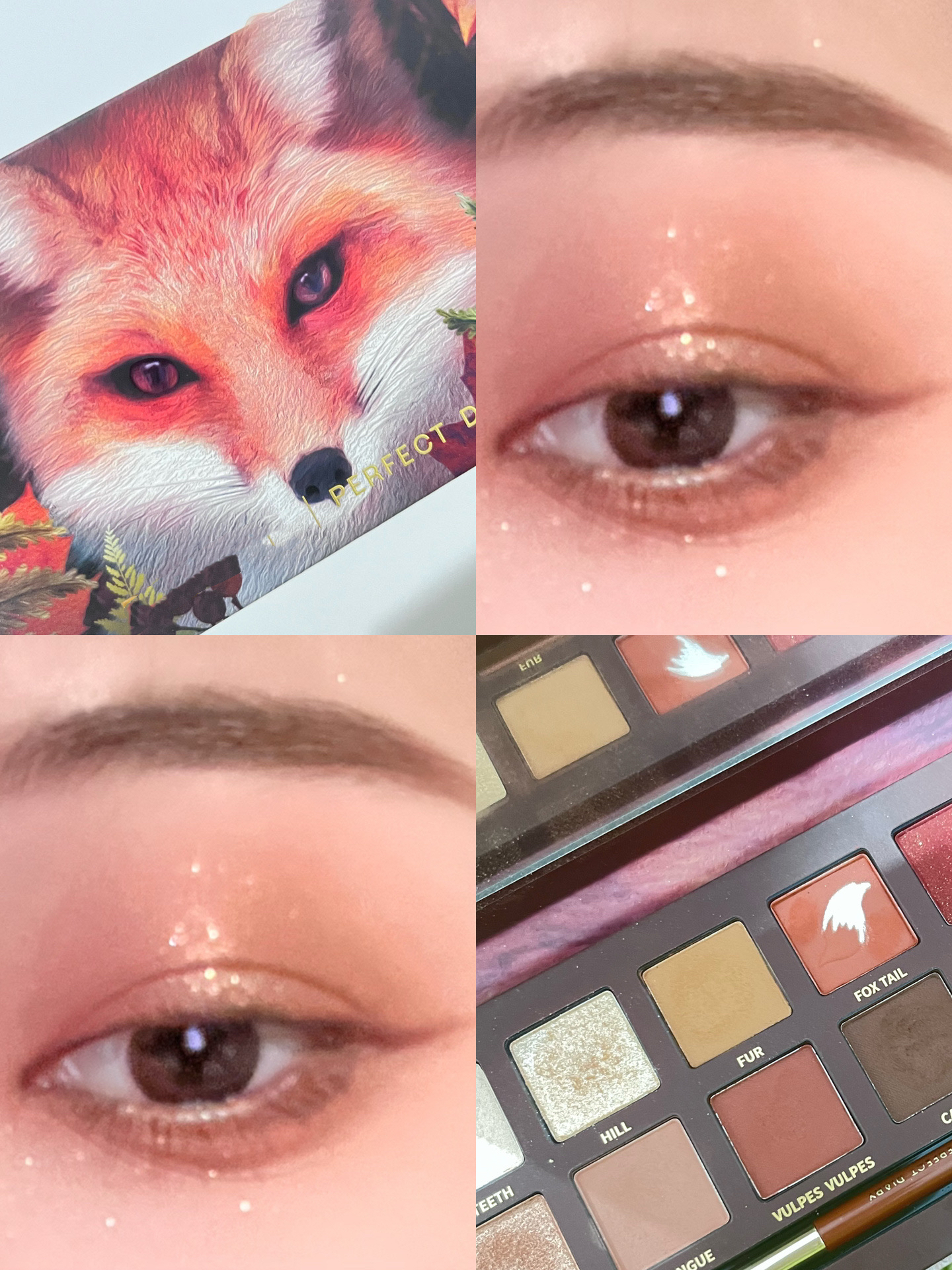 エクスプローラ12色 動物アイシャドウパレット/PERFECT DIARY/アイシャドウパレットを使ったクチコミ（1枚目）