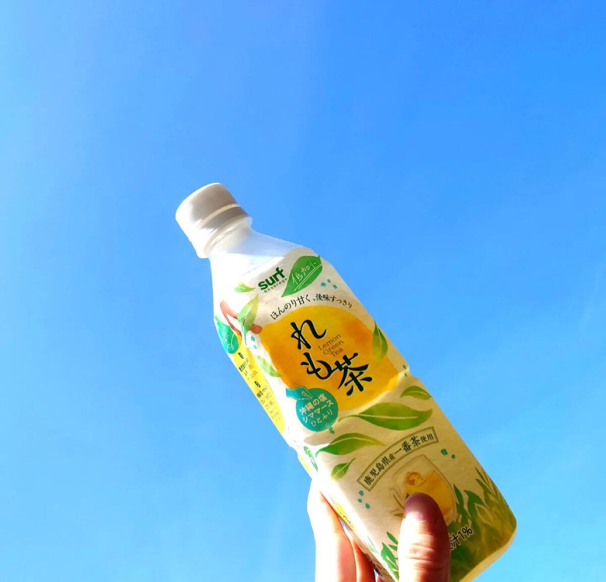 れも茶/サーフビバレッジ/ドリンクを使ったクチコミ（1枚目）