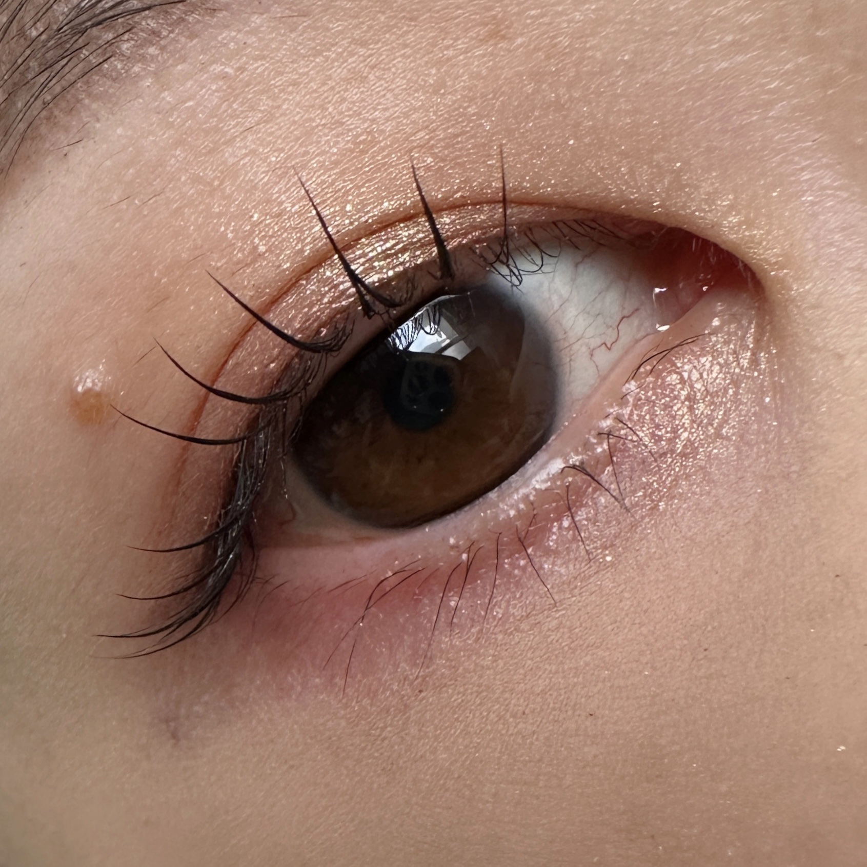 Eyeshadow 5 Colour Compacts/BYREDO/アイシャドウパレットを使ったクチコミ（2枚目）