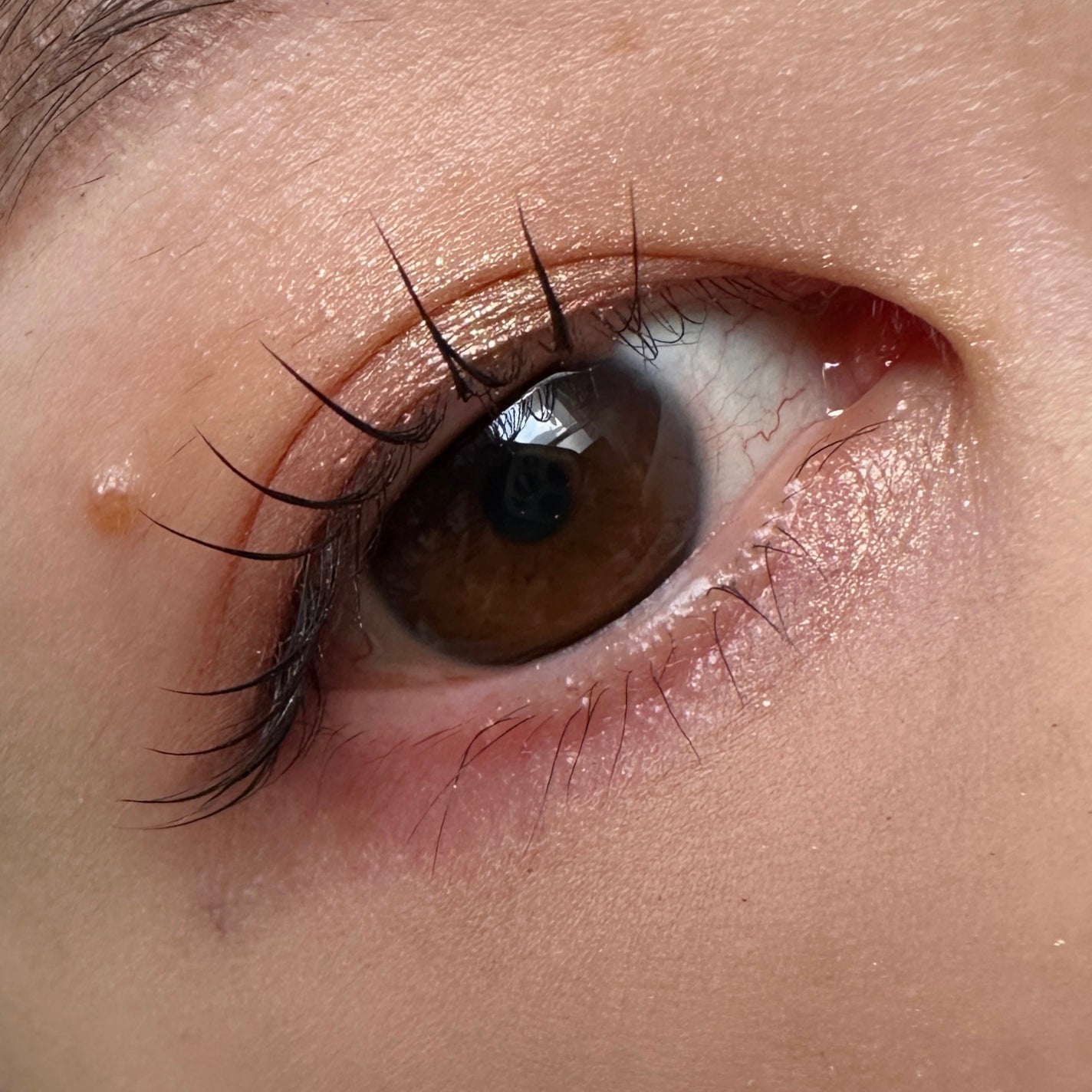 ダズルシャドウ/M・A・C/単色アイシャドウを使ったクチコミ(2枚目)