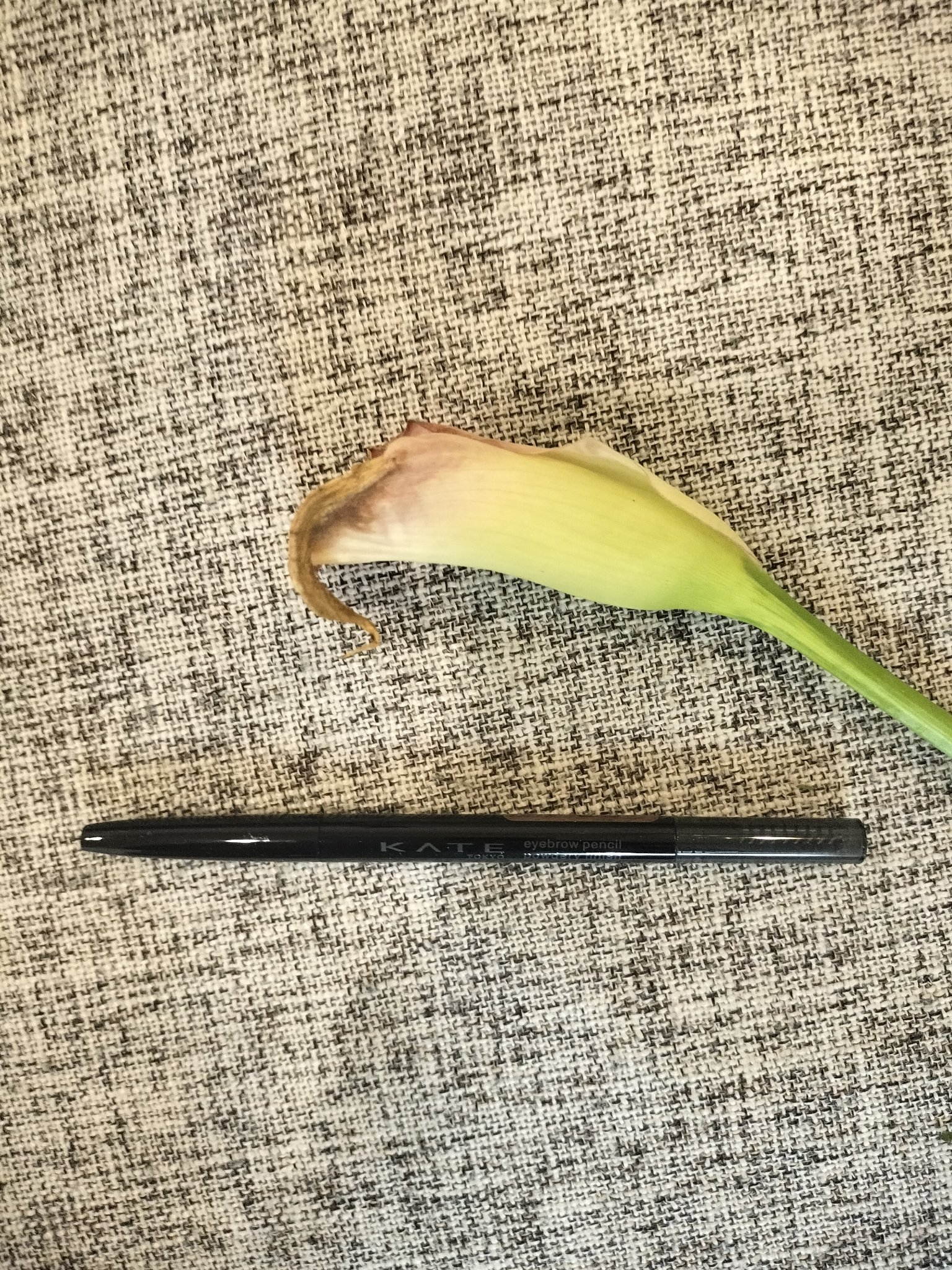 ケイト アイブロウペンシル(パウダリーフィニッシュ)/KATE/アイブロウペンシルを使ったクチコミ（1枚目）