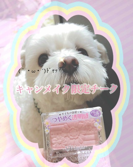 【旧品】パウダーチークス/キャンメイク/パウダーチークを使ったクチコミ(1枚目)