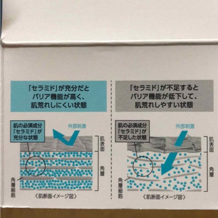 潤浸保湿 フェイスクリーム/キュレル/フェイスクリームを使ったクチコミ(3枚目)