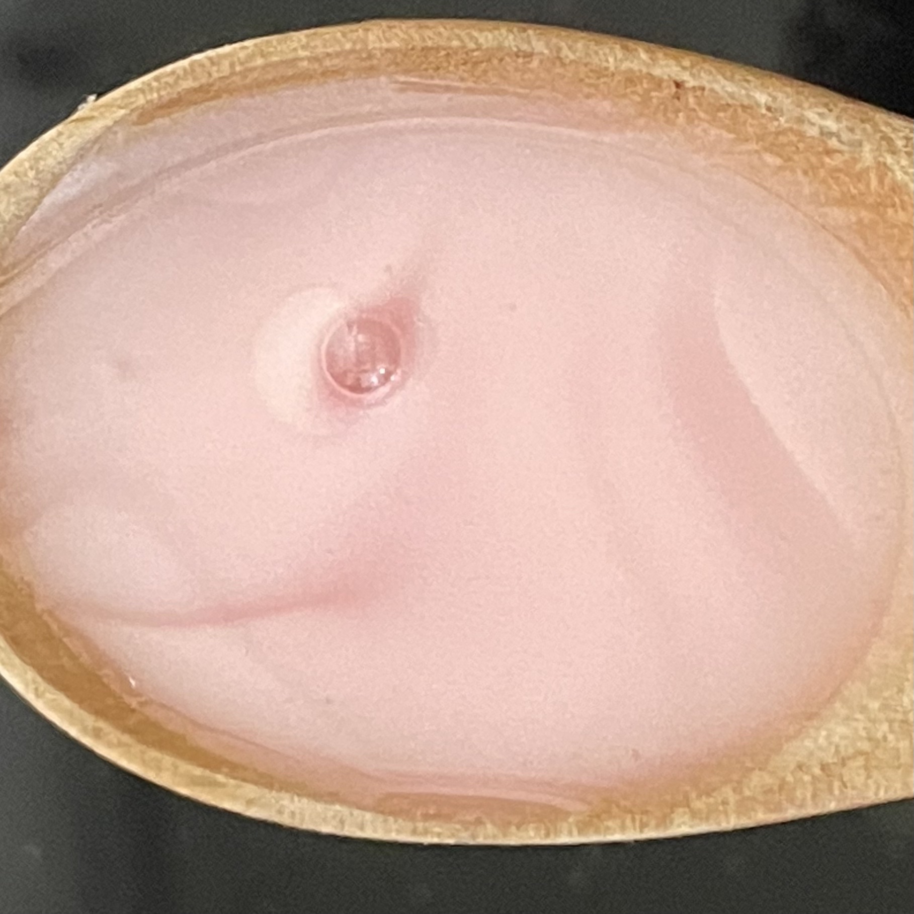 シャンプー／コンディショナー　根元からふんわり/セグレタ/市販シャンプーを使ったクチコミ（2枚目）