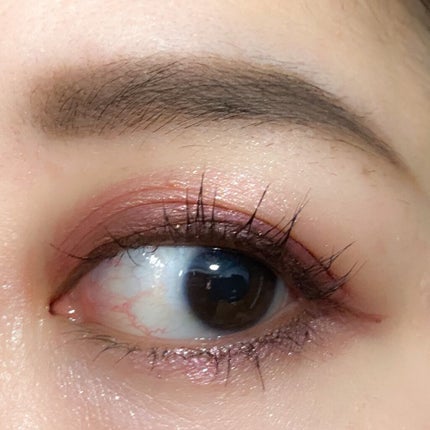 【旧】サンク クルール クチュール/Dior/アイシャドウパレットを使ったクチコミ(4枚目)