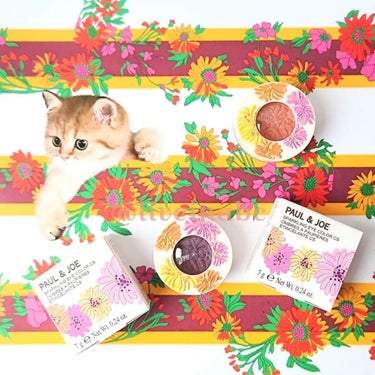 PAUL & JOE BEAUTE スパークリング アイカラー CSのクチコミ「@paulandjoe_beaute
#autumncollection2022
❥#spar.....」（1枚目）