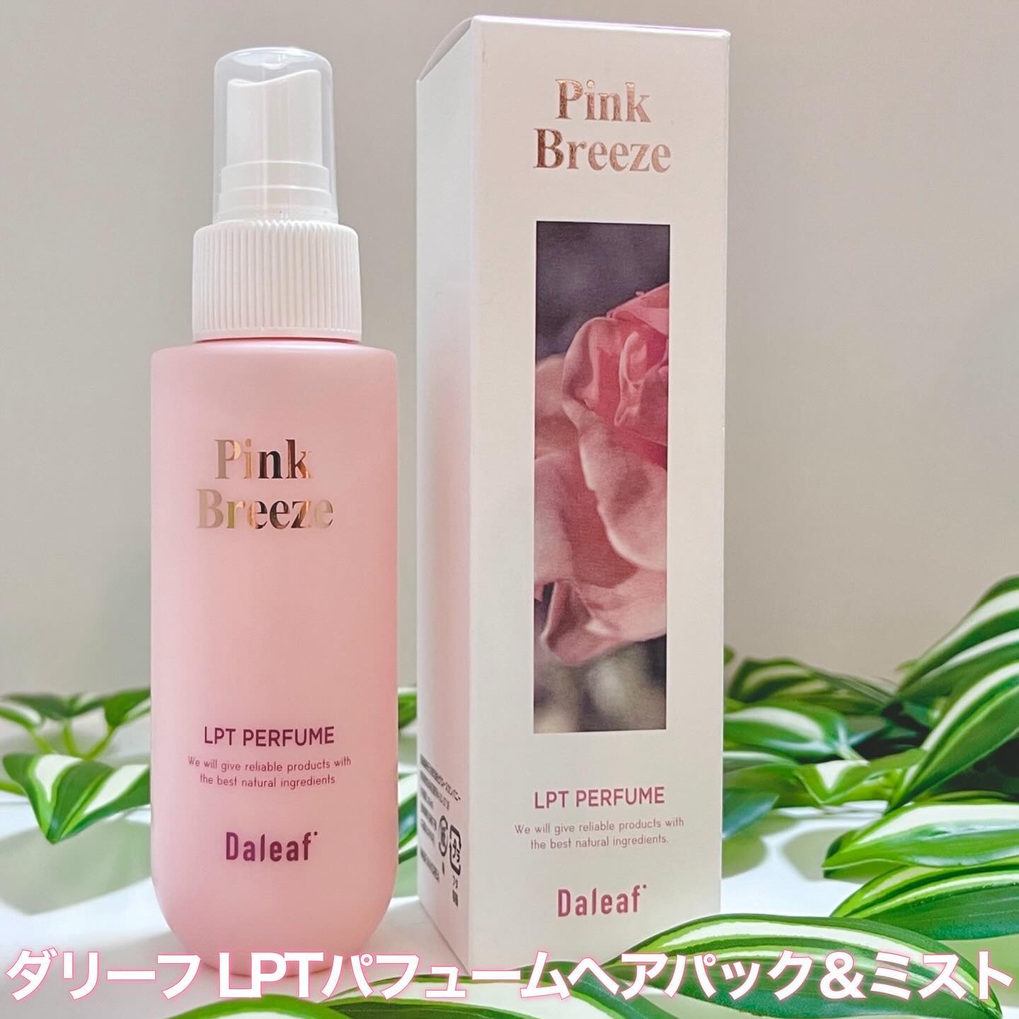 パフュームヘアパックインミスト Pink Breeze/Daleaf/アウトバストリートメントを使ったクチコミ（1枚目）