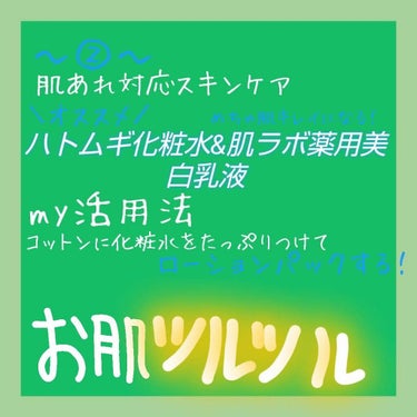 ハトムギ化粧水(ナチュリエ スキンコンディショナー R )/ナチュリエ/化粧水を使ったクチコミ（3枚目）