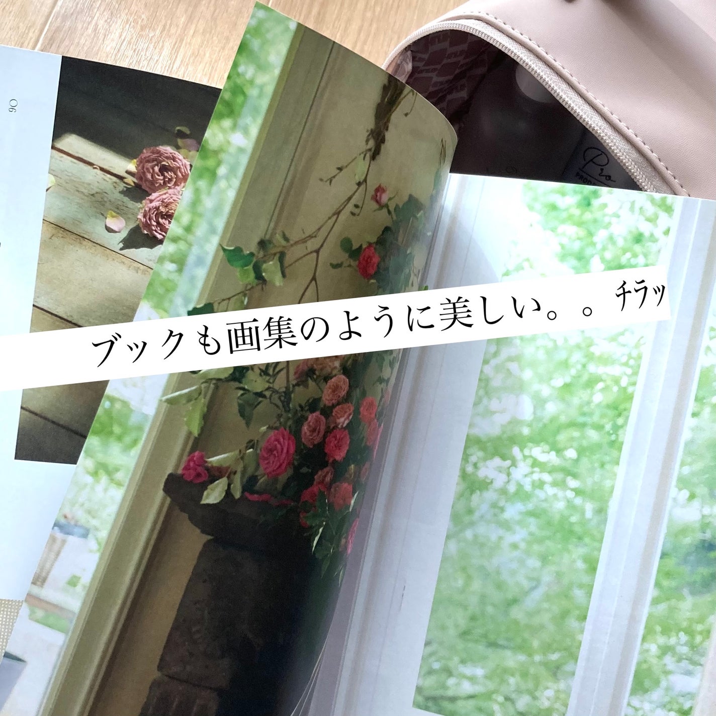 こじはるプロデュースバニティポーチ/宝島社/雑誌を使ったクチコミ(6枚目)
