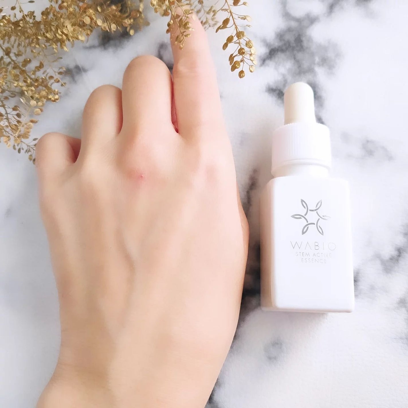 ステム アクティブ エッセンス/WABIO/美容液を使ったクチコミ(6枚目)