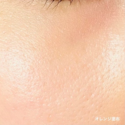 リシェ レッドトリック アイコンシーラー/Visée/パレットコンシーラーを使ったクチコミ(4枚目)