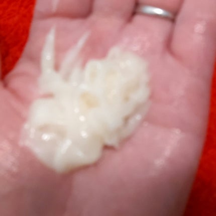 インナーコンフォートシャンプー/インテンシブリペアトリートメント(スリーク&リッチ) 1DAYトライアル( 10ml+10g)/ココンシュペール/市販シャンプーの画像