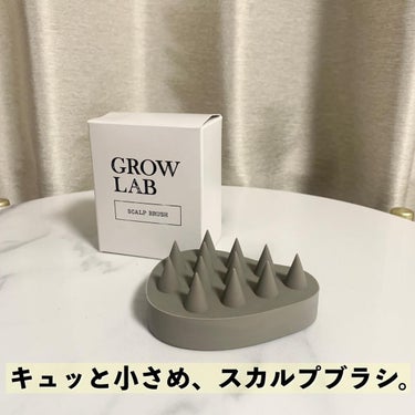 GROW LAB スカルプブラシのクチコミ「𓃠サイズちっちゃめ、しっかり洗えるスカルプケアブラシ𓃠
スカルプブラシ、何個かもっています。
.....」（1枚目）