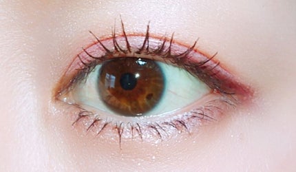 グロッシーリッチ アイズ N/Visée/アイシャドウパレットを使ったクチコミ(3枚目)