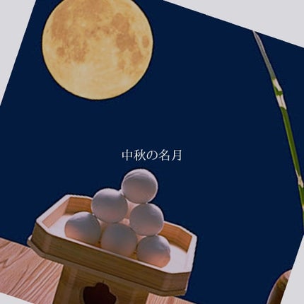 TO YOUR SHADOW/A’pieu/アイシャドウパレットを使ったクチコミ(1枚目)