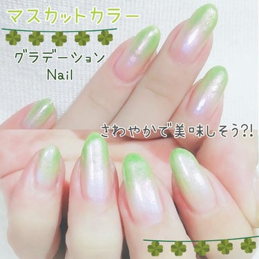 pa ネイルカラー プレミア/pa nail collective/マニキュアを使ったクチコミ（1枚目）