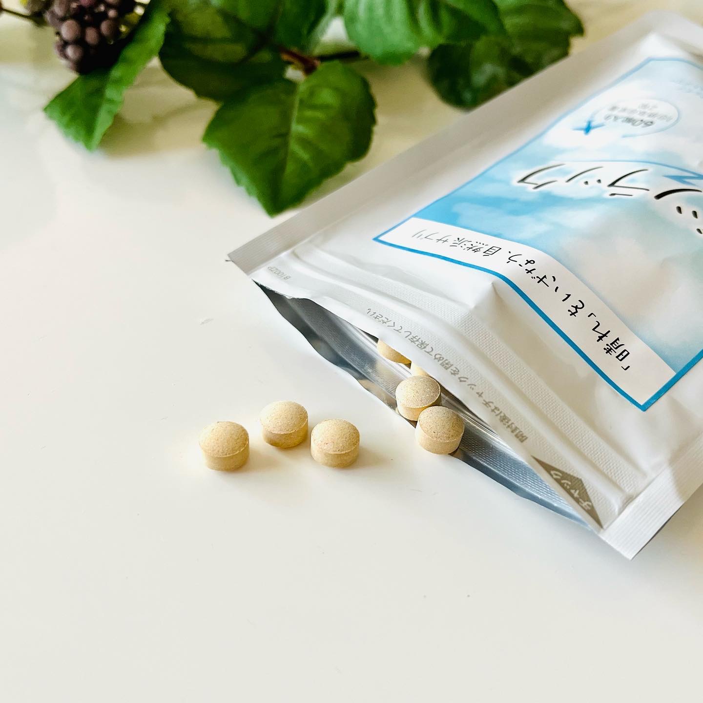 ズツラック/フレージュ/食品を使ったクチコミ（3枚目）