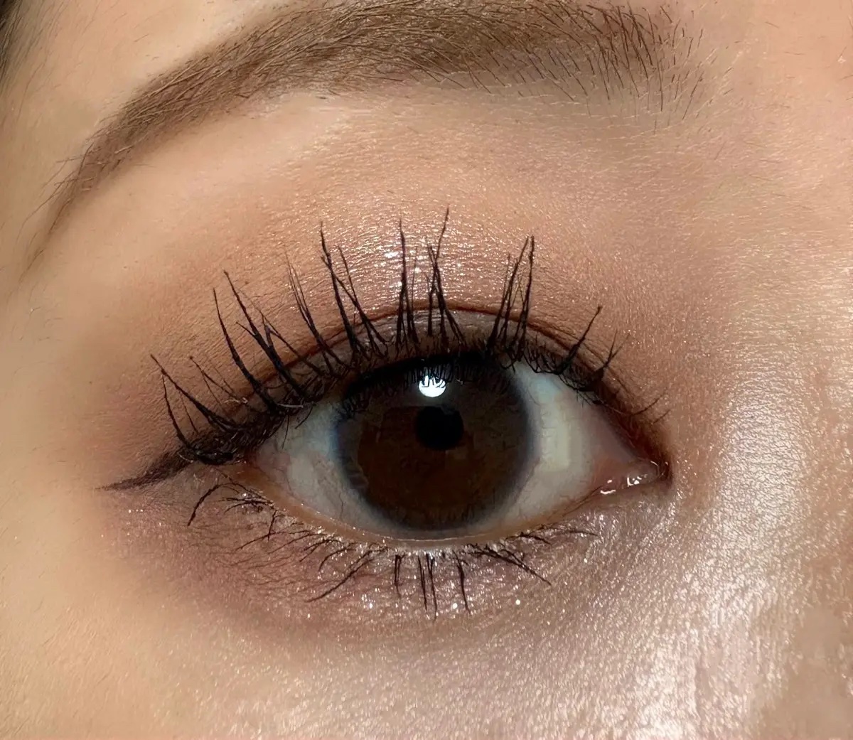 アイスカルプト ハーモニー ベージュ/shu uemura/アイシャドウパレットを使ったクチコミ（2枚目）