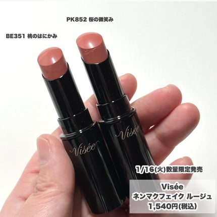 ネンマクフェイク ルージュ/Visée/口紅を使ったクチコミ(2枚目)