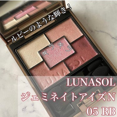 ジェミネイトアイズ N 05 RB/LUNASOL/アイシャドウパレットを使ったクチコミ（1枚目）