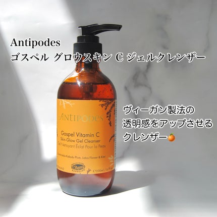 ゴスペル グロウスキン C ジェルクレンザー/Antipodes/その他洗顔料を使ったクチコミ(2枚目)