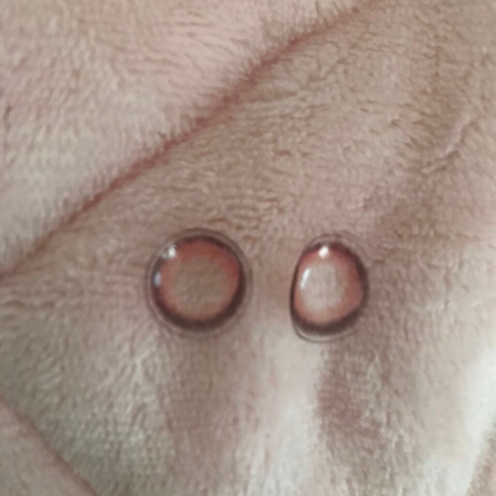 miium 1day/miium/ワンデー(1DAY)カラコンを使ったクチコミ(3枚目)