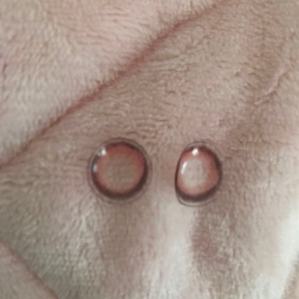 miium 1day/miium/ワンデー(1DAY)カラコンを使ったクチコミ(3枚目)