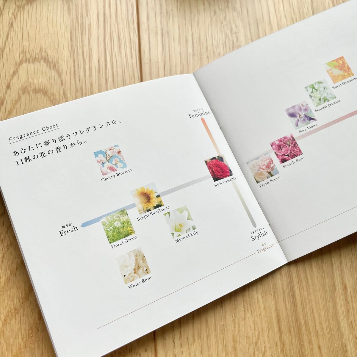 チェリーブロッサム リペアヘアオイル/Flora Notis JILL STUART/ヘアオイルを使ったクチコミ(9枚目)