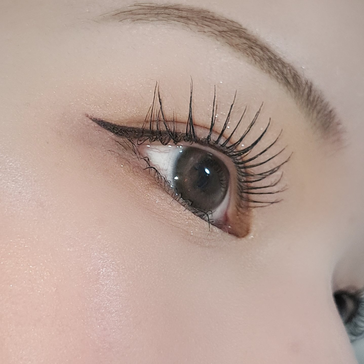 ラッシュフォーマーEX(クリア)/KATE/マスカラを使ったクチコミ（3枚目）