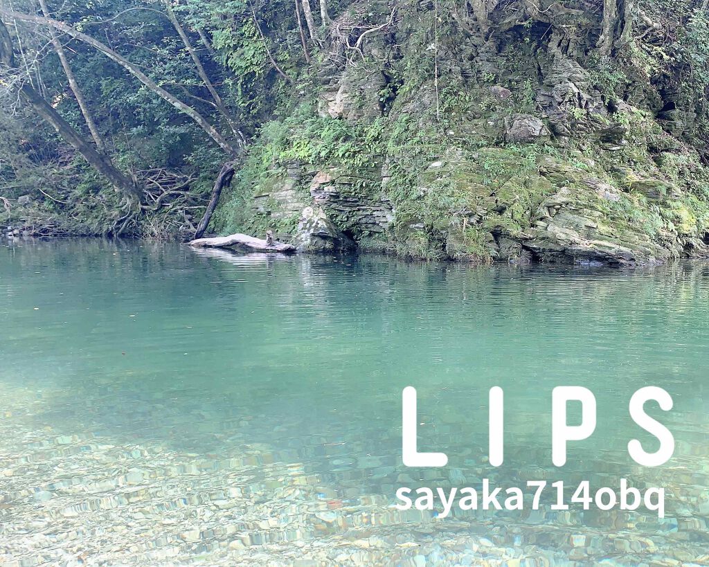 デザイニング カラー アイズ/SUQQU/アイシャドウパレットを使ったクチコミ(4枚目)