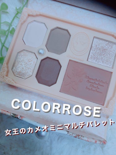 女王のカメオミニマルチパレット/COLORROSE/アイシャドウパレットを使ったクチコミ（1枚目）