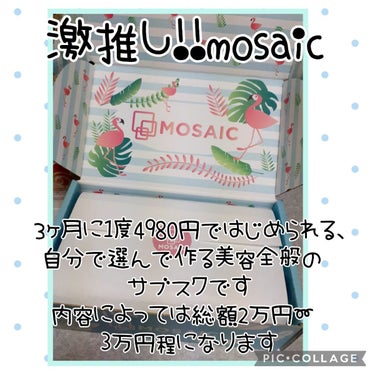 MOSAIC ボックス/MOSAIC/その他キットセットを使ったクチコミ（1枚目）