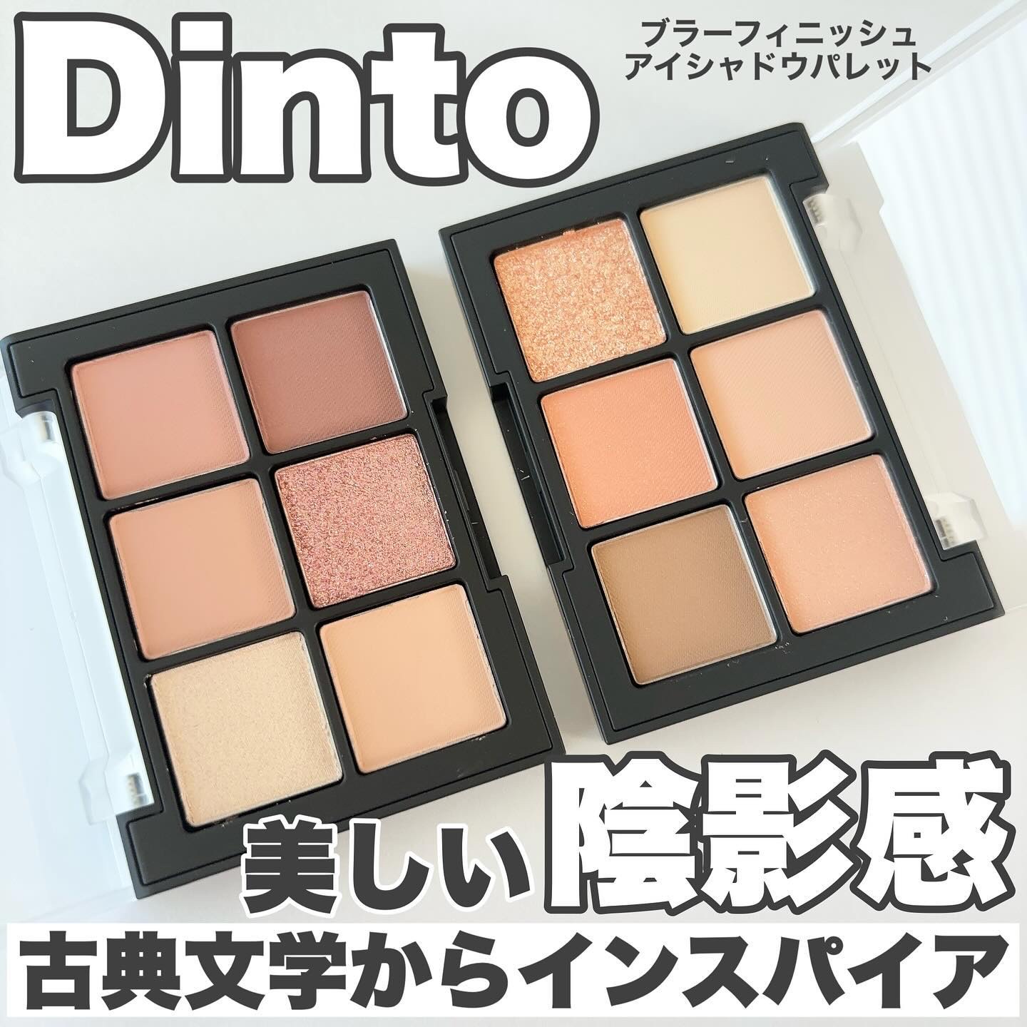 ブラーフィニシュシャドウパレット/Dinto/アイシャドウパレットを使ったクチコミ（1枚目）