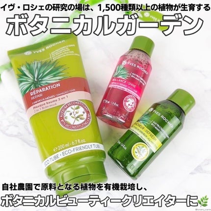 リンシングビネガー シルキーシャイン さらキララズベリー/イヴ・ロシェ/洗い流すヘアトリートメントを使ったクチコミ(3枚目)