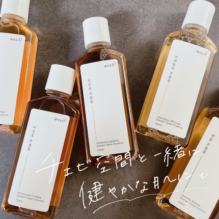 スキンケアトナー/CHAEB GONGGAN/化粧水を使ったクチコミ(1枚目)