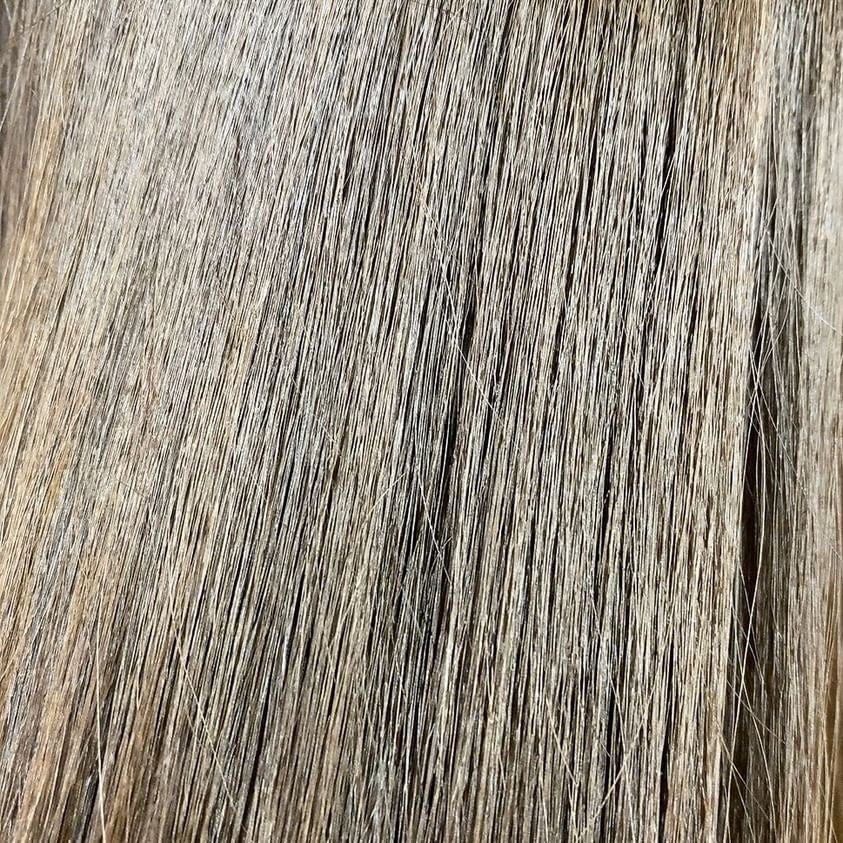 パフュームシャンプー/トリートメント (ホワイトムスク)/ミルクバオバブ/市販シャンプーを使ったクチコミ(10枚目)