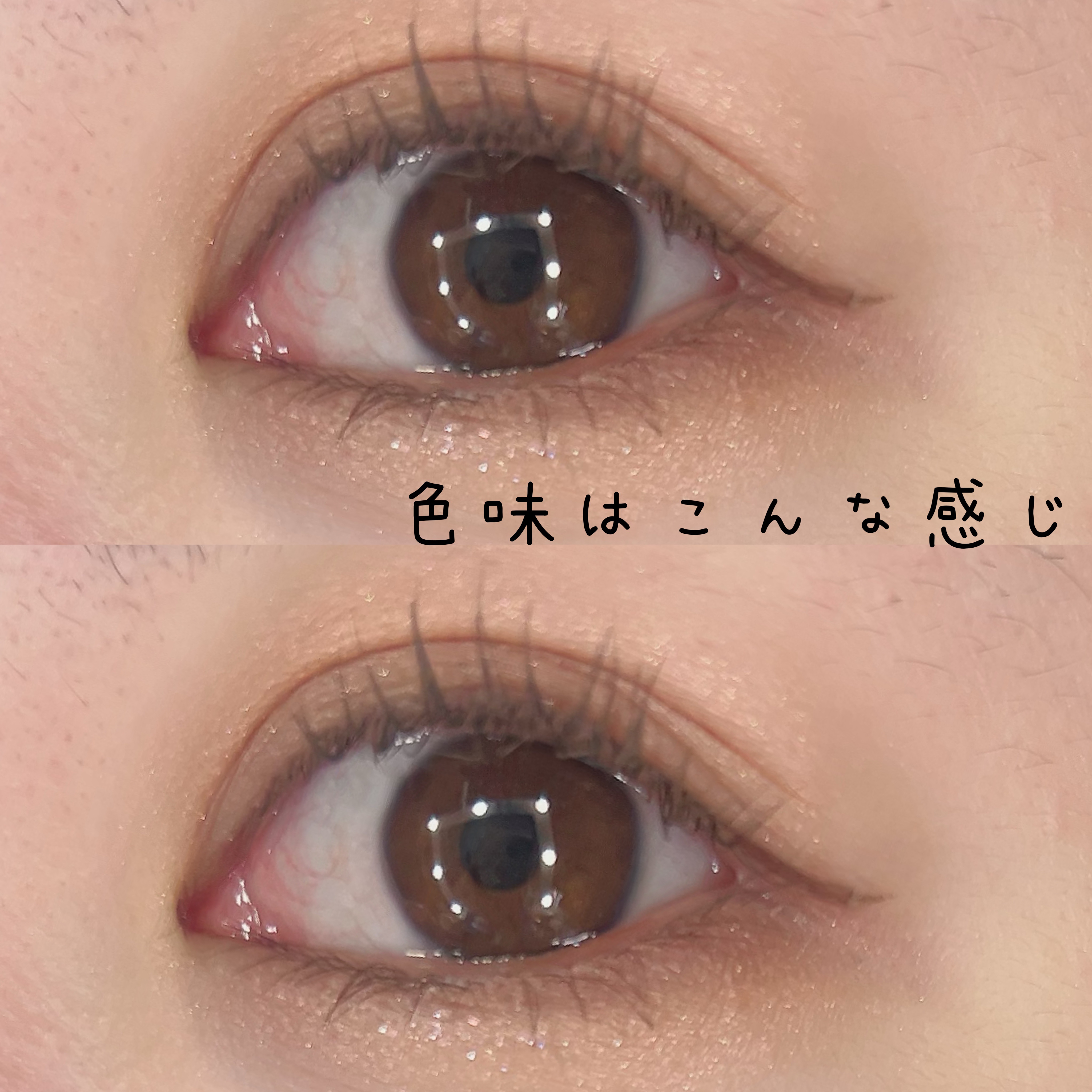 アイパレット 06 クレールカーキ/sopo/アイシャドウパレットを使ったクチコミ（2枚目）