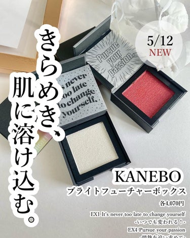 ブライトフューチャーボックス/KANEBO/シングルアイシャドウを使ったクチコミ（1枚目）