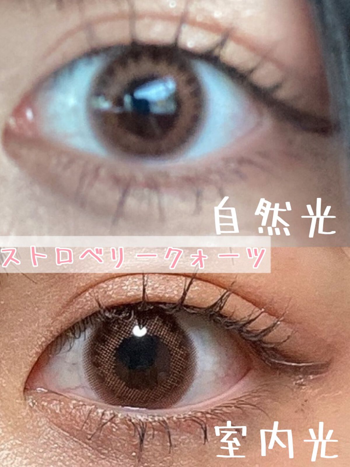 TOPARDS 1day/TOPARDS/ワンデー(1DAY)カラコンを使ったクチコミ(3枚目)