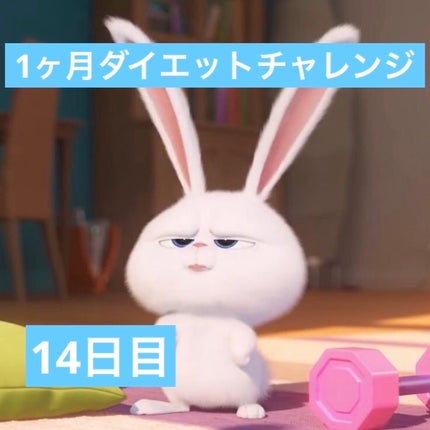 ã䜿ã£ãã¯ãã³ãïŒ1æç®ïŒ