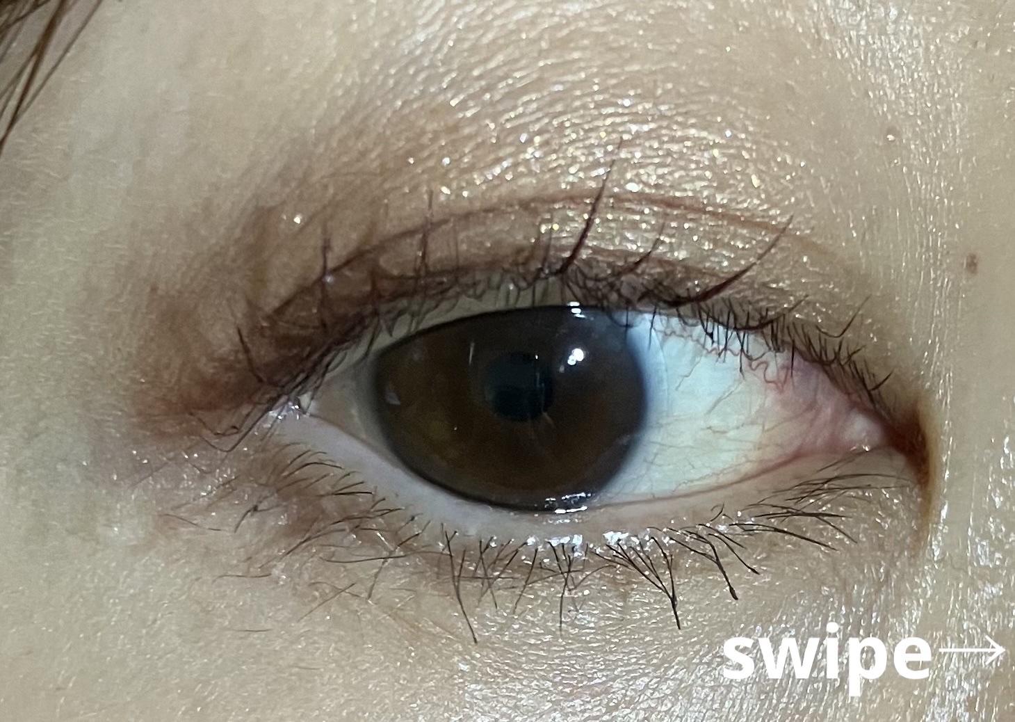 パーフェクトスタイリストアイズ 23 アーモンドカヌレ/キャンメイク/アイシャドウパレットを使ったクチコミ（3枚目）