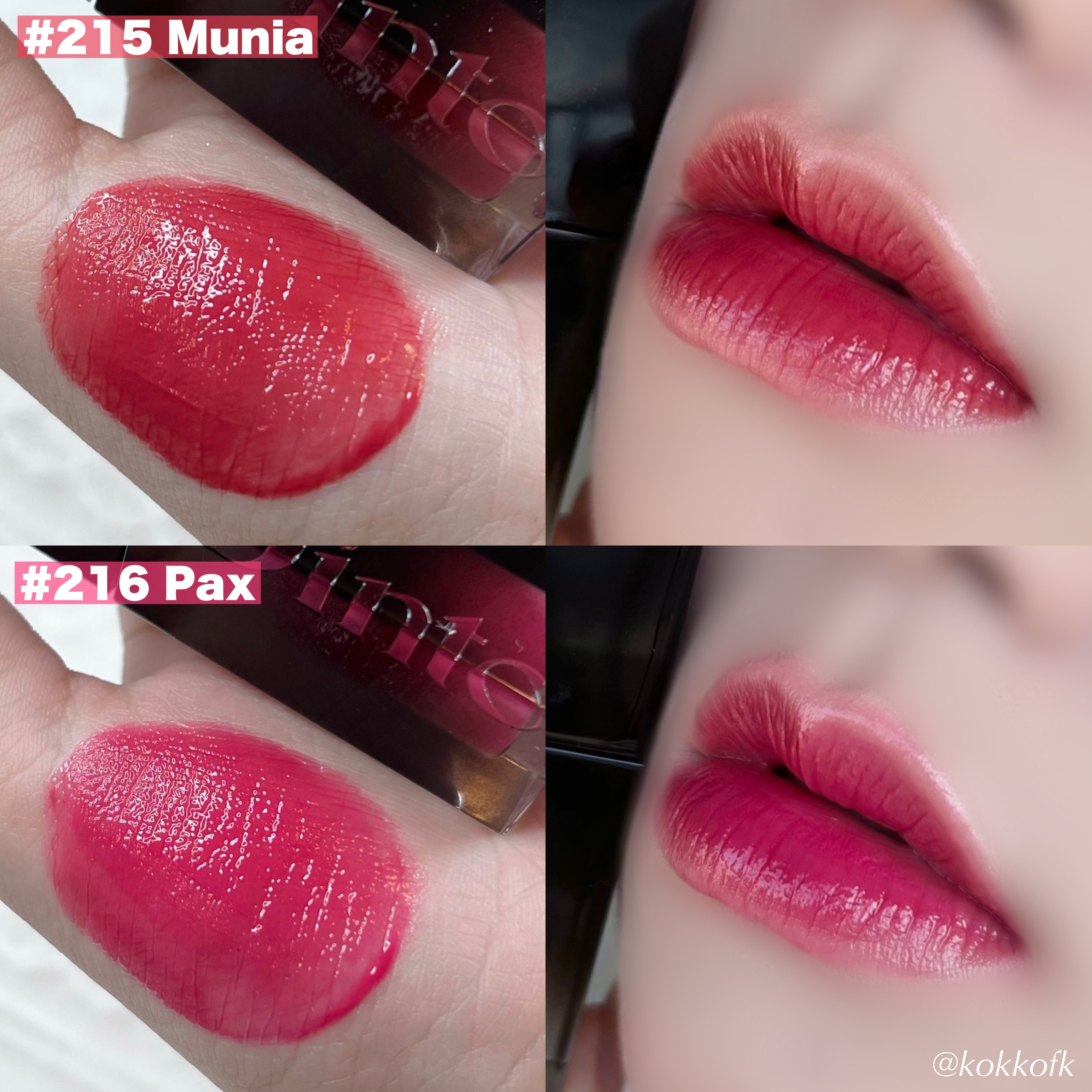 新色レビュー】ブラーグロイリップティント｜Dintoを全色レビュー