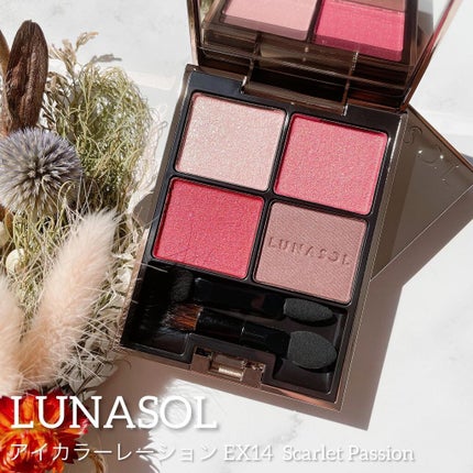 アイカラーレーション/LUNASOL/アイシャドウパレットを使ったクチコミ(1枚目)