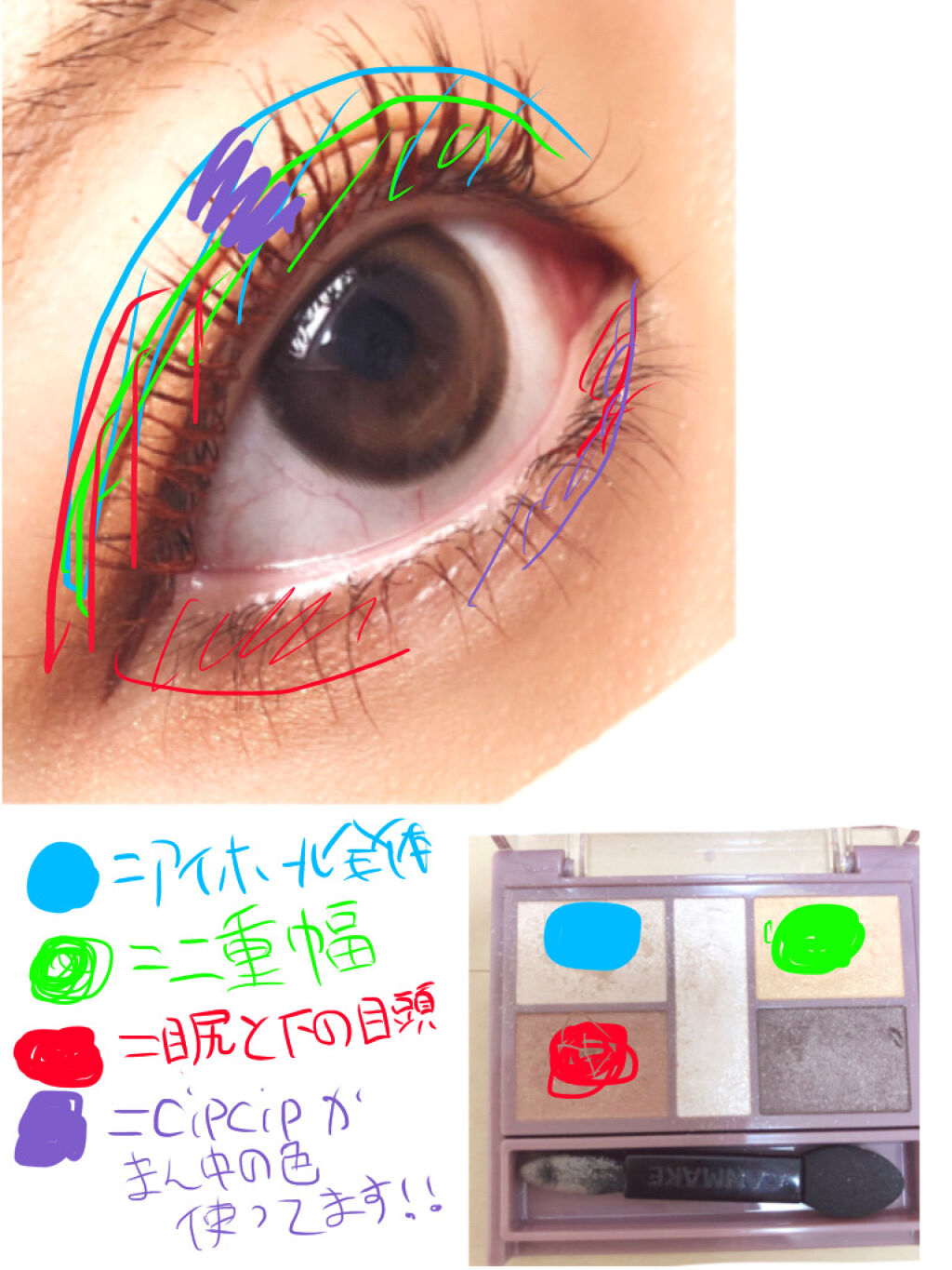 クイックラッシュカーラー/キャンメイク/マスカラ下地を使ったクチコミ（2枚目）