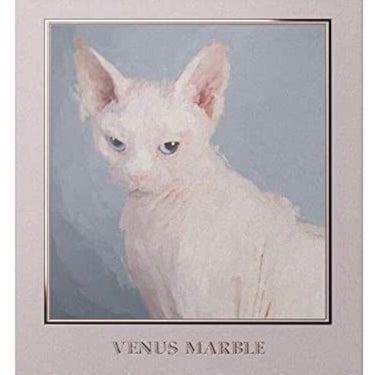 Venus Marble アイシャドウキャットシリーズ/Venus Marble/アイシャドウパレットを使ったクチコミ（2枚目）