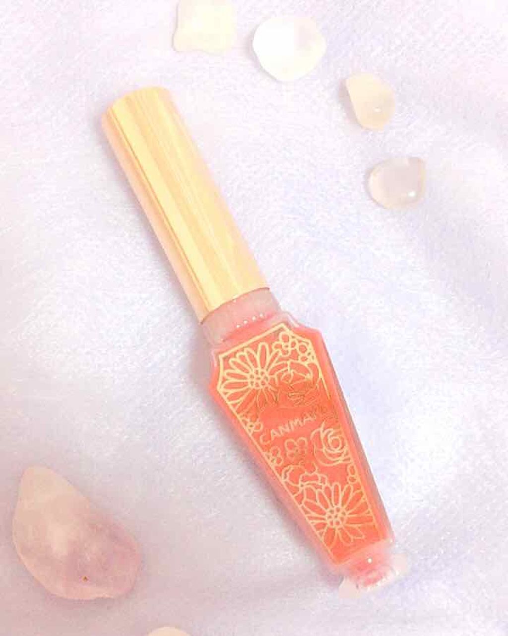 リップティントマット/キャンメイク/リップグロスを使ったクチコミ(1枚目)