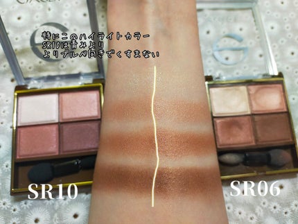 スキニーリッチシャドウ/excel/アイシャドウパレットを使ったクチコミ(2枚目)